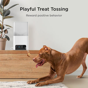Petcube Bites 2 Lite Interactive WiFi Pet Monitoring Camera with Phone App and Treat Dispenser, 1080p HD Video, Night Vision, Tw