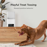 Petcube Bites 2 Lite Interactive WiFi Pet Monitoring Camera with Phone App and Treat Dispenser, 1080p HD Video, Night Vision, Tw