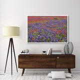 Hill Country Wildflowers Including Sand Bluebonnets And Paintbrush, Texas-Paper Art-62,,X42,,