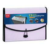 H4D 13Pocket Accordion File Organizer With Mesh Pocket, Expanding File Folder With Tabs, Expandable Document Organizer For Home