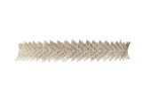 Prl_S5003 Cros Vvv White Belt