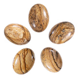 Nupuyai Pack of 5 Oval Picture Jasper Cabochons for Jewelry Making, Stone Cabochons Flatback DIY Art Project Jewelry Making Supp