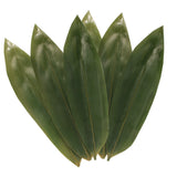 BambooMN Bamboo Leaves for Cooking Zongzi, Banana Leaf Alternative, Grilling/Barbeque, Natural Boiling Bags - 12.25 x 3.5 Inches