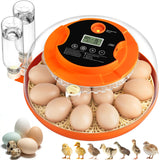 18 Egg Incubators for Hatching Eggs, Automatic Egg Turning and Humidity Control Incubator for Hatch Chicken Duck Quail Pigeon Ph