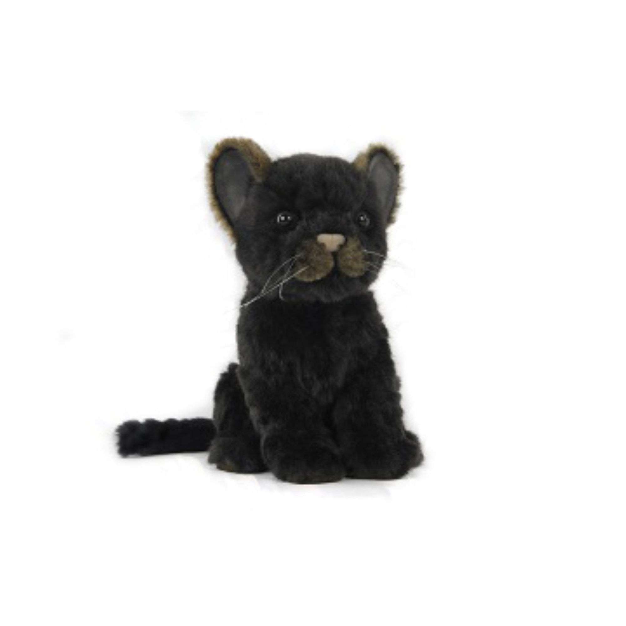 Jaguar Cub Black 17Cm.L