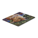 Caroline'S Treasures Corgi Pastel Butterfly Mouse Pad/Hot Pad/Trivet (7325Mp)