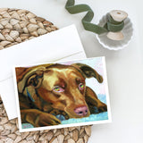 Chocolate Labrador Waiting Greeting Cards And Envelopes Pack Of 8