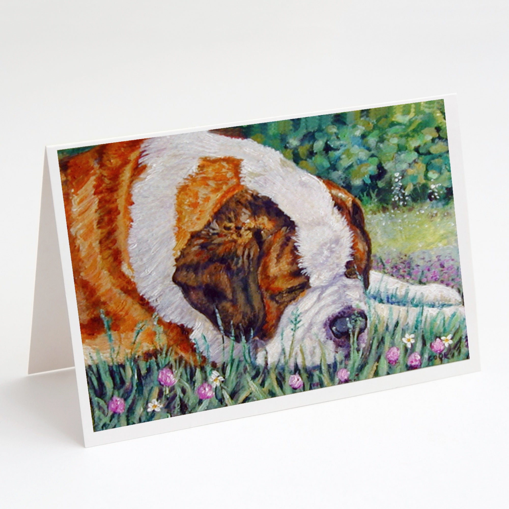 Saint Bernard Naptime Greeting Cards And Envelopes Pack Of 8