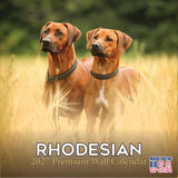 Rhodesian Ridgeback Calendar 2027 by MegaCalendars - Monthly Dog Breed Wall Calendar, Made in USA