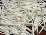 Generic 250 Pieces White Dentalium Aprinium Shell Tusk Crafts 1/4 LB