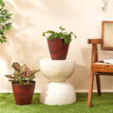 Amazon Brand Solimo Indoor And Outdoor Round 10 Inch Flower Planter Pot Best For Terrace/Balcony/Home/Office Decor Set Of 2
