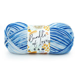 Lion Brand Yarn Bundle of Love Yarn, Oasis