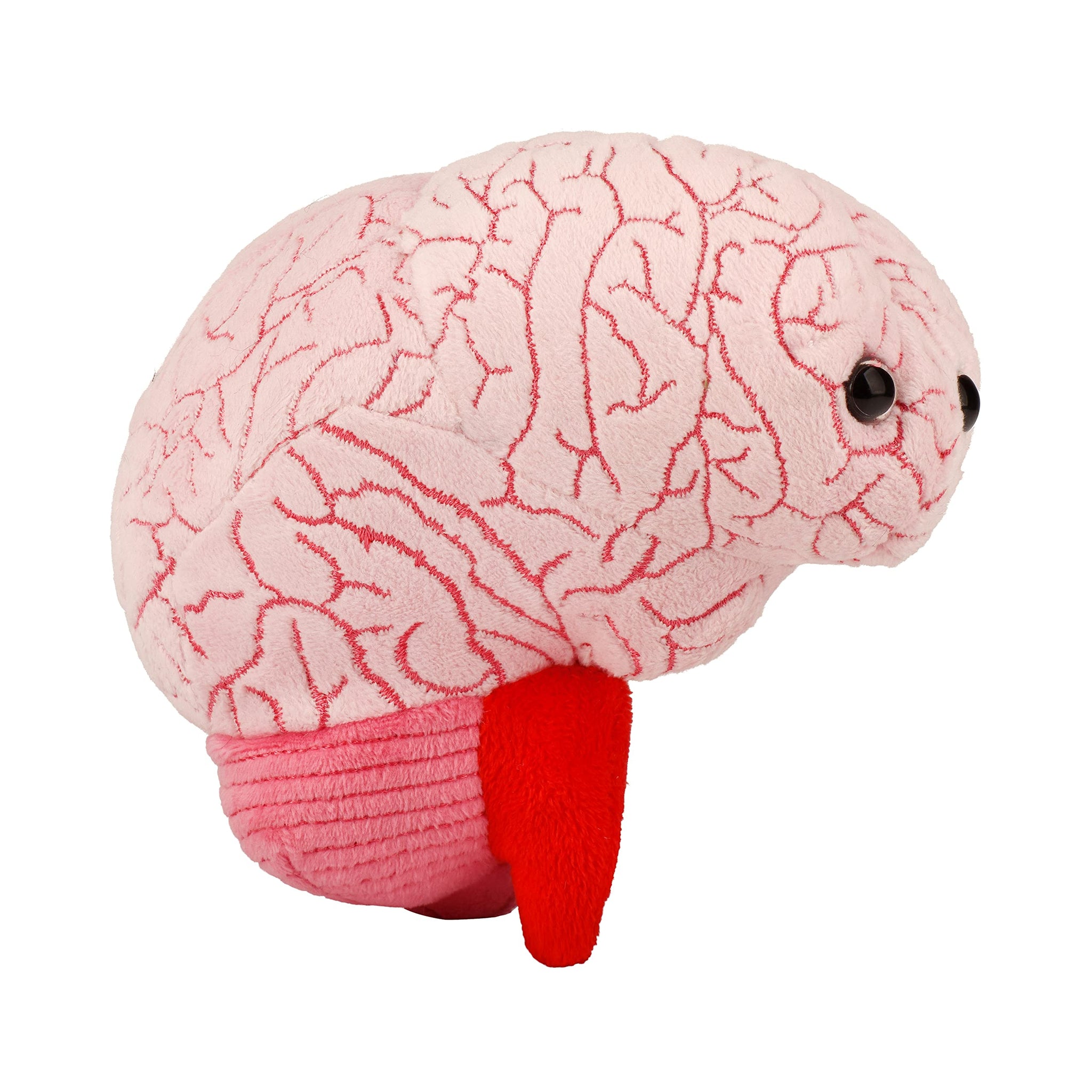 GIANTmicrobes Brain Plush, Brain Toy, Brain Stuffed Animal, Brain Gifts For Neurologist, Brain Surgery Recovery Gifts, Neurology
