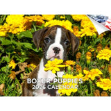 2025 2026 Boxer Puppies Calendar - Dog Breed Monthly Wall Calendar - 12 x 18 Open - Thick No-Bleed Paper - Giftable - Academic T