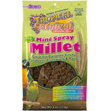 F.M. Brown's Tropical Carnival Natural Mini Spray Millet Foraging Treat for Canaries, Finches, Parakeets, Cockatiels, and Parrot