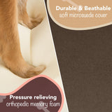 Friends Forever Large Dog Bed, Orthopedic Dog Sofa Memory Foam Mattress, Calming Dog Couch Bed, Wall Rim Pillow, Water Resistant