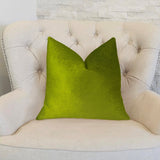 Plutus Brands Plutus Contentment Grass Handmade Throw Pillow, 22 X 22, Green