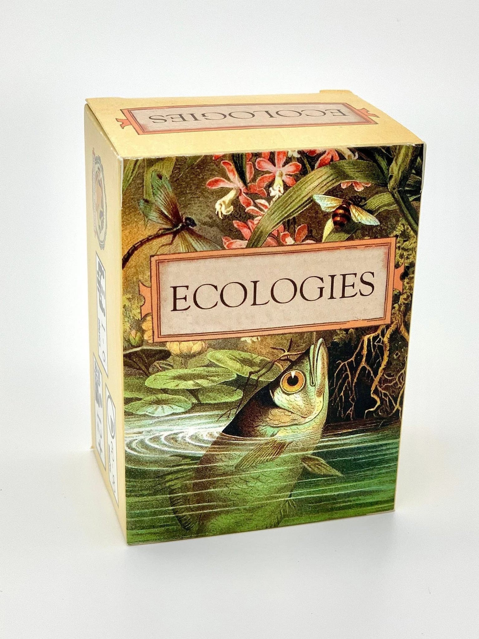 Montrose Biology Ecologies Card Game - Use Science to Build Food Webs in 7 Biomes - Beautiful Vintage Nature Art for The Classro