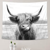 AMBZEK Highland Cow Tapestry, 51Hx59W Inch, Funny Western Decor, Wall Art for Bedroom, Dorm, Living Room