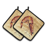 Caroline'S Treasures Shrimp Pair Of Pot Holders 8161Pthd, 7.5Hx7.5W, Multicolor