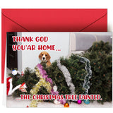 HiFulerr Dog Christmas Card - 5 x 7 Funny Dog Christmas Cards with Envelopes, Xmas Greeting Card for Pet, Xmas New Year Gifts fo