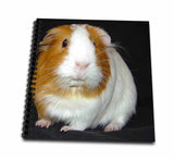 3dRose db_1061_2 Guinea Pig Memory Book, 12 by 12