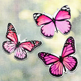 Fiada 6 Pcs Butterfly Screen Door Magnets Flexible Double Sided Door Magnets Decorative Protectors for Sliding Screen Doors Prev