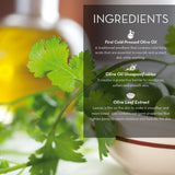 Fruits & Passion] cucina coriander and Olive Tree Luxury Hand cream, 5 Fl Oz - Premium Skin care Made from First cold Pressed Ol