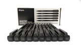 Brustro Professional Pigment Based Fineliner Pen | Black, Box Of 10, Tip Sizes - 0.4 Mm | Archival,Waterproof,Uv Resistant Ink,C