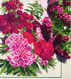Riolis 1463 - Sweet William - Counted Cross Stitch Kit - 9.5X11.75 14 Count 14 Colors Zweigart 14Ct. Flaxen Aida