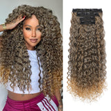 LONAI 4PC Clip in Hair Extensions, 100% Pure Protein Silk Curly Hair Extension for Women, 26 Inch Long Soft Natural Hair Extensi