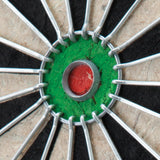 Dartboard Was Moldy And Not Self-Healing As Advertised