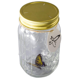 Animated Butterfly In A Jar Yellow Swallowtail Figurine By Sciencepurchase