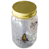Animated Butterfly In A Jar Yellow Swallowtail Figurine By Sciencepurchase