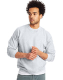 Hanes Mens EcoSmart Sweatshirt, ash, Small