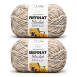 Bernat Blanket Mist-ical Gray Cloud 2 Pack of 300g Yarn