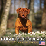 Dogue de Bordeaux Calendar 2027 - 16 Month Dog Wall Calendar, Monthly Planner, Large Writing Blocks, Thick No Bleed Paper, Made 