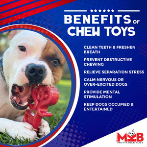 Sodapup Muttskickbutt Key To My Heart - Durable Dog Chew Toy Made In Usa From Non-Toxic, Pet Safe, Food Safe Nylon Material For