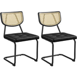 Yaheetech Dining Chairs Set of 2, Mid Century Modern Rattan Kitchen Chairs with Metal Legs and Upholstered Seat for Living Room,