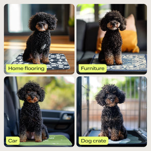 PetSpy Washable Pee Pads for Dogs 2-Pack (18x24) - Waterproof Reusable Puppy Pads No-Slip Surface - Stylish Dog Potty Training P