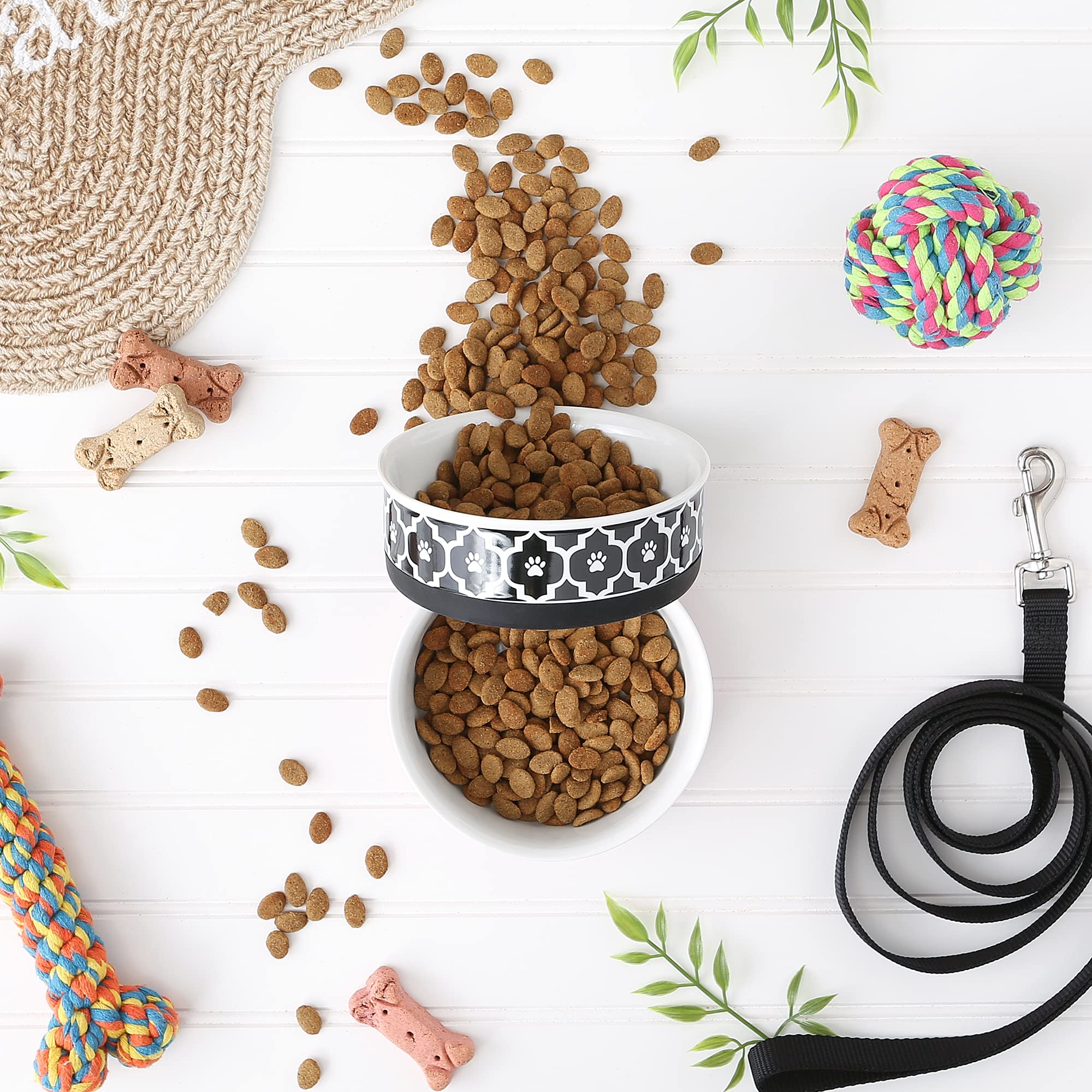 Bone Dry Lattice Collection Pet Bowl & Canister, Medium Set, 6X2 Inches, Black, 2 Piece