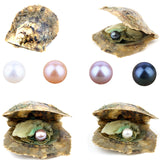4PCS Saltwater Akoya Cultured Pearl Oyster with Round Pearl (6.5-7.5mm) Inside Jewelry Making or Birthday Gifts (4 Colors)