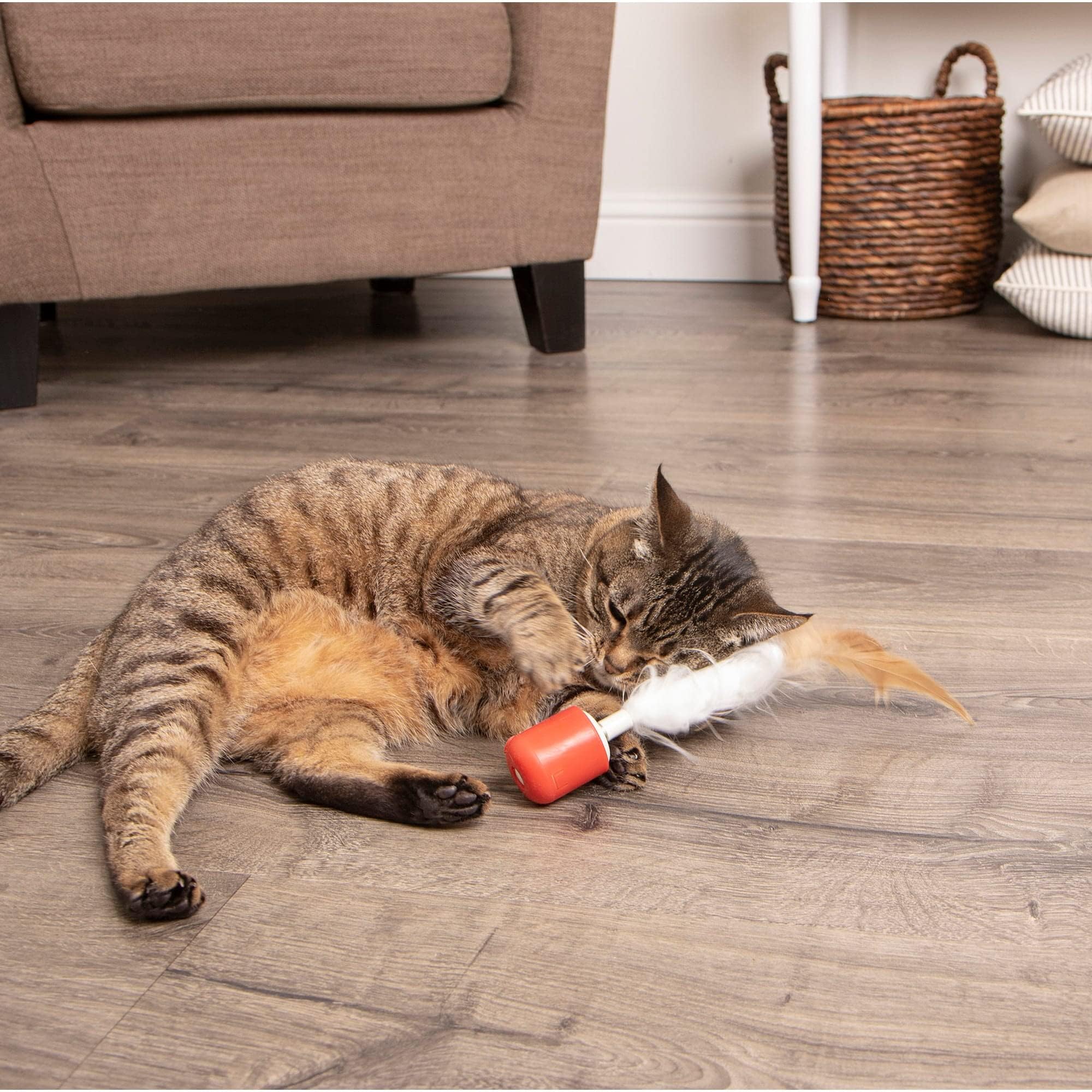Petlinks Electronic CAT Toy, 0, S