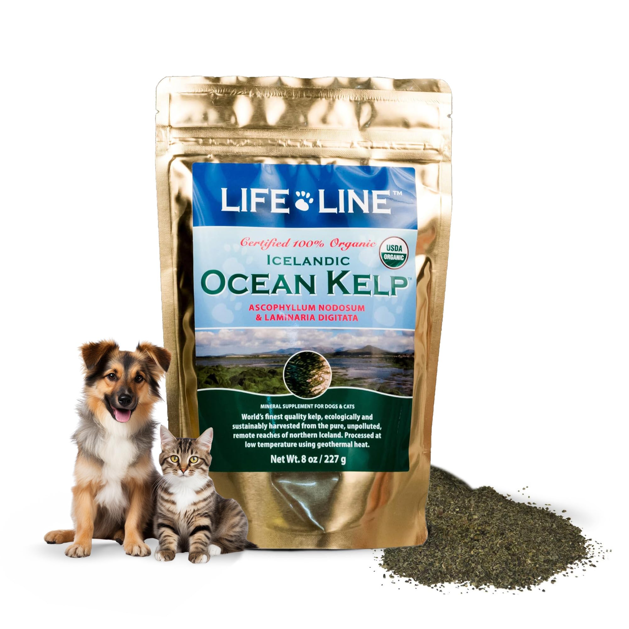 Life Line Pet Nutrition Organic Ocean Kelp Supplement For Skin & Coat, Digestion In Dogs & Cats, 8Oz (20200)