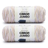 Caron Jumbo Seashell Yarn - 2 Pack of 12oz/340g - Acrylic - #4 Worsted (Medium) - 595 Yards - Knitting & Crochet