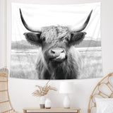 AMBZEK Highland Cow Tapestry, 51Hx59W Inch, Funny Western Decor, Wall Art for Bedroom, Dorm, Living Room