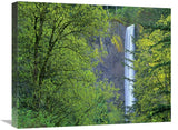 Latourell Falls, Columbia River Gorge Near Portland, Oregon-Canvas Art-24X20