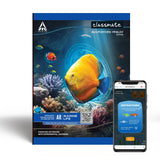 Classmate Augmented Reality Notebooks - 172 Pages | Pack Of 4 Short Size Ruled Notebooks For School Students | Immersive Ar Lear