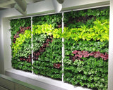 Bio Blooms Smart Garden Vertical Planter | Set Of 8 Panels & 24 Pots With Hooks | Wall Mounted Bio Wall Garden Kit For Balcony, 