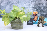 Anticia Handicrafts Resin Miniature Hand Pot Succulent Planter Flower Pots Indoor Container For Garden And Office Table (Only Po